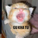 kyruu_to_management_