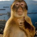 thumb