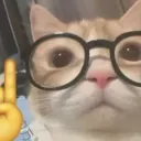 Cat nerd