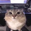 huh?
