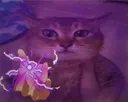 hollow... PURPLE