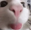 hi hi hi
