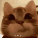 Hmpp 44