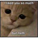Nvm 44