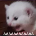 AAAAAAAAAAAAAAAAAAAAAAAAAAAAA