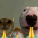 plssss