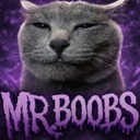 Mr_boobs