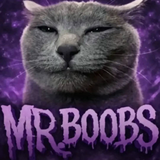 Mr_boobs