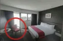 cuck_chair
