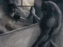 alpha