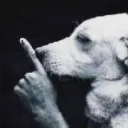 Shhh