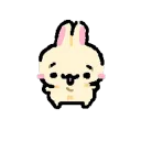 usagi 