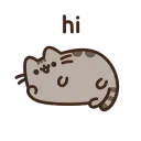 pusheen hi