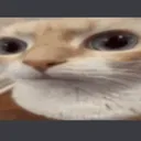 Stares into your soul