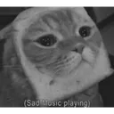 Sad catze ☹️