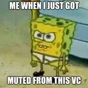 🧽🧽