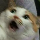Ahhhhhhh