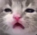 ugh