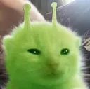 cat alien .gg/goon-heaven