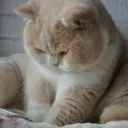 sadness