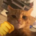 Cat punch 