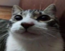 Ah So sorry toasts