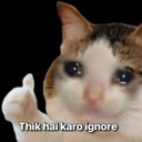 Ignore