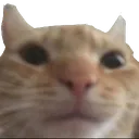 stareatu