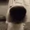 snoot