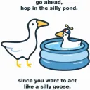 You Silly Goose