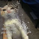 Vanishing 