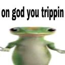 Yeah frog 