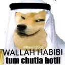 Habibi__gg_mohabbat_
