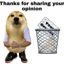 Your opinion