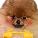Teddy Plead