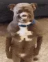 Touch me daddy