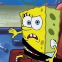 Spongi