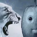 No no