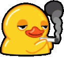 smoking duck snitch
