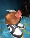 kitchnike