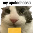 sorry mowa