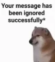 your message has been ignored 