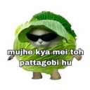 Velvet_gobi