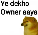 nt_owner_aaya_bhago