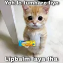 lipblam