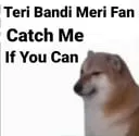 teri_bandi
