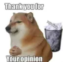 thankyouforyouropinion