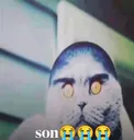 son