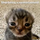 mean