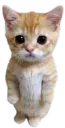 yes?